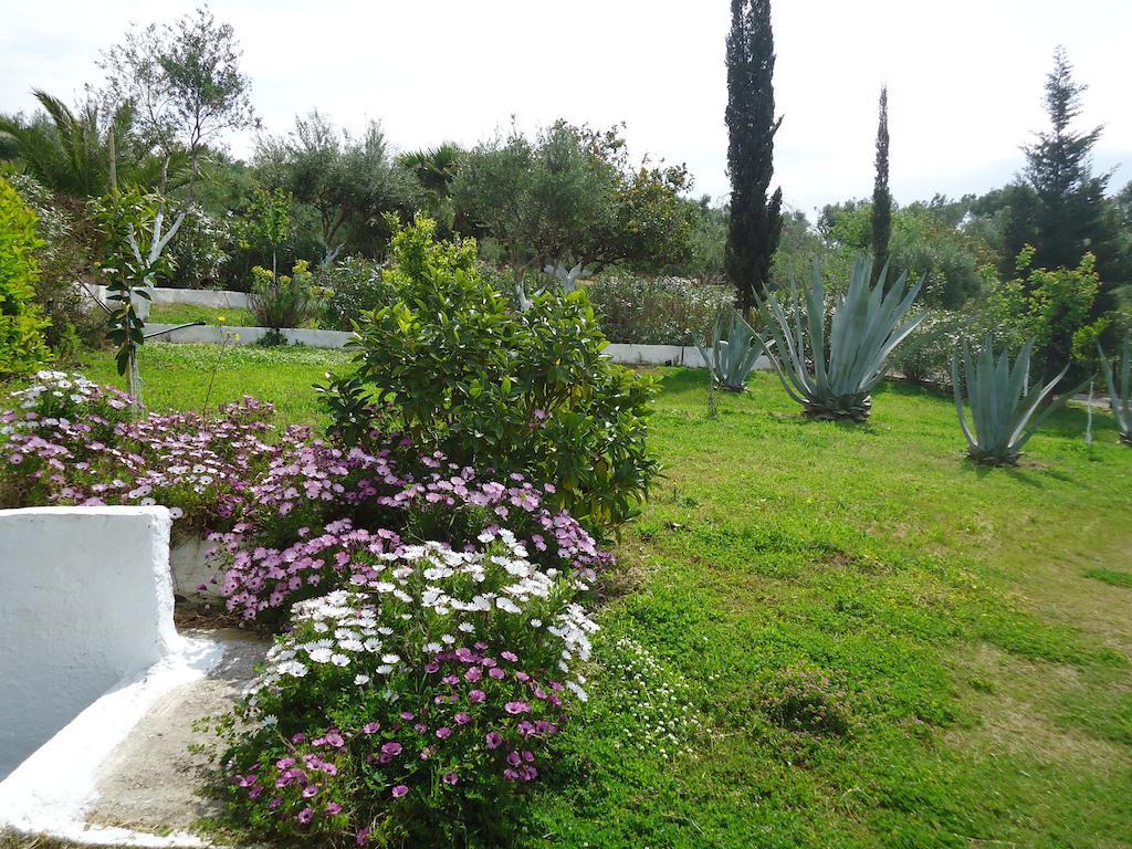 Muses Villas Finikounda Zimmer foto