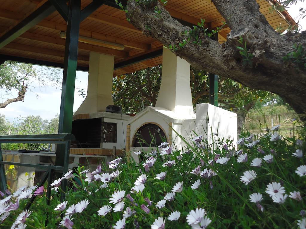 Muses Villas Finikounda Zimmer foto